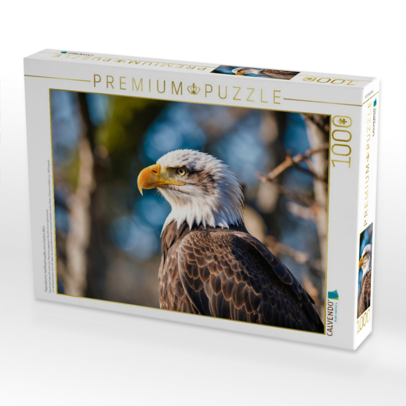 Majestätischer Weißkopfseeadler mit scharfem Blick