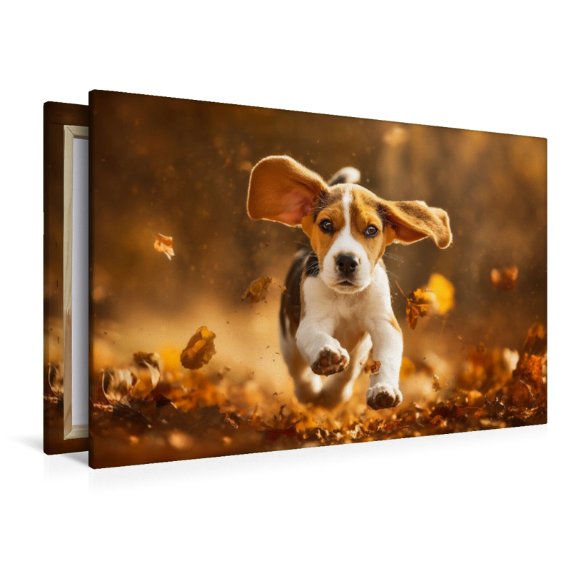 Beagle im Herbstlaub ist Lebensfreude pur