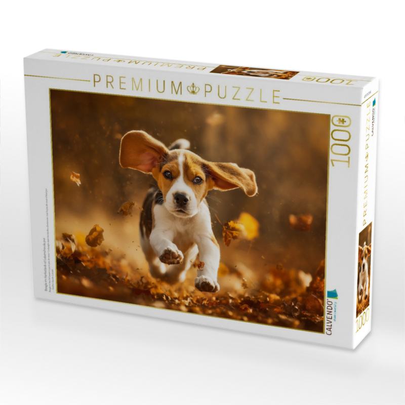 Beagle im Herbstlaub ist Lebensfreude pur