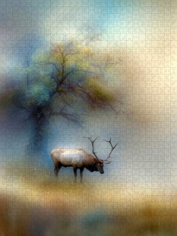 Der Hirsch - der König des Waldes verharrt leise im Nebel