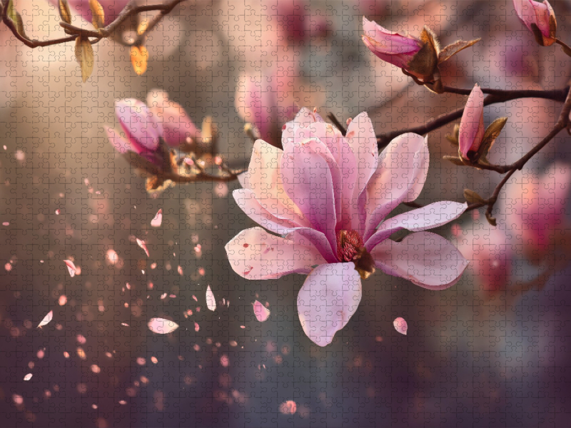 Magnolienduft