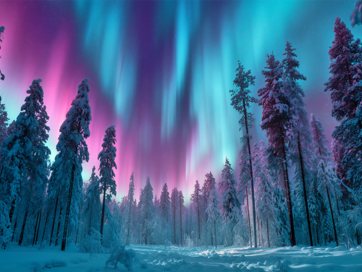 Magische Polarlichter am Nordhimmel