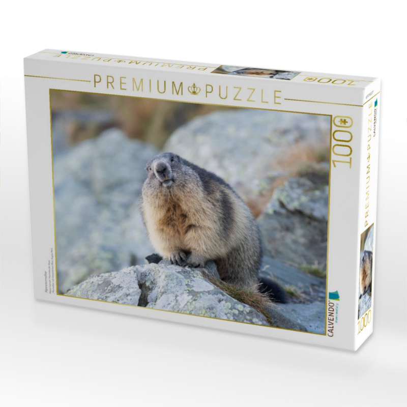Alpenmurmeltier