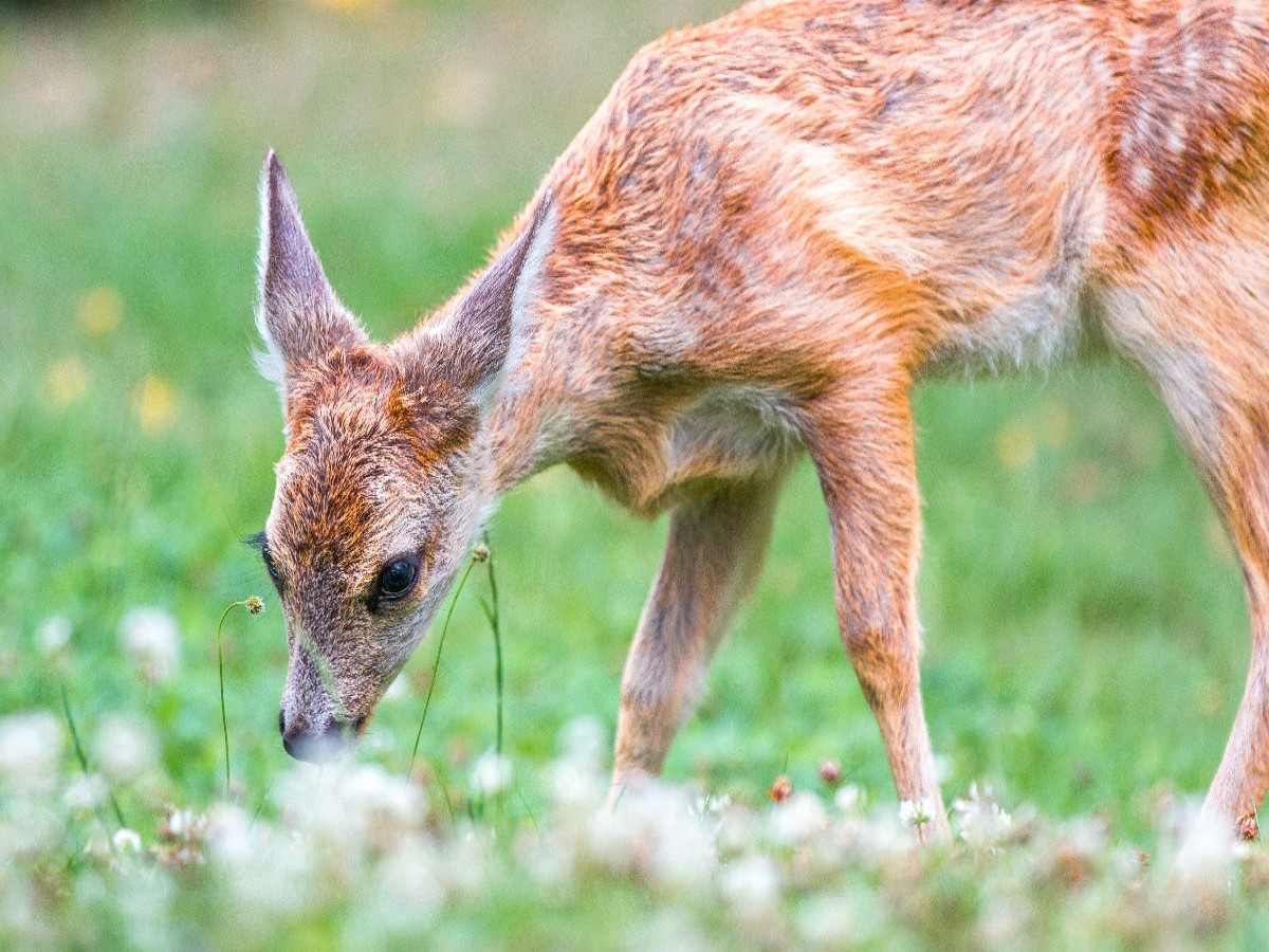 Am Waldboden