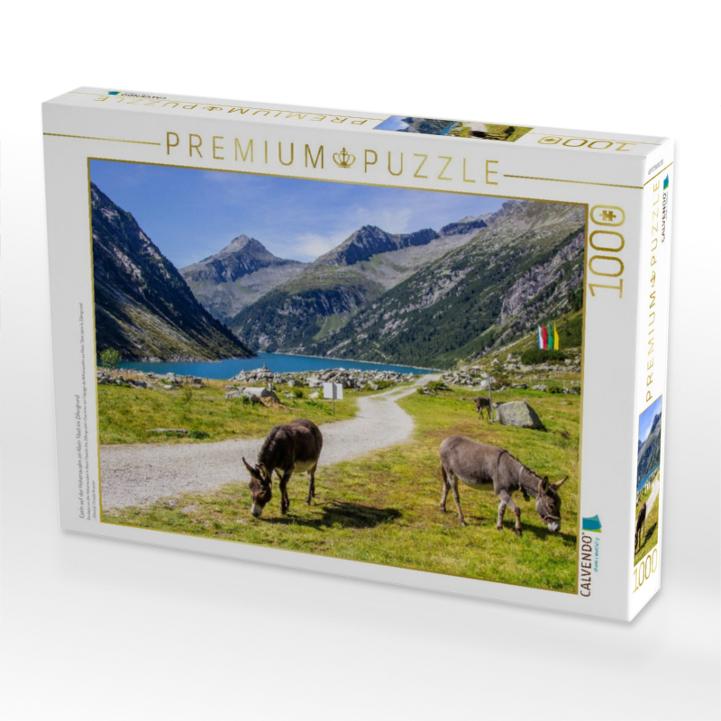 Eseln auf der Hohenaualm im Klein Tibet im Zillergrund
