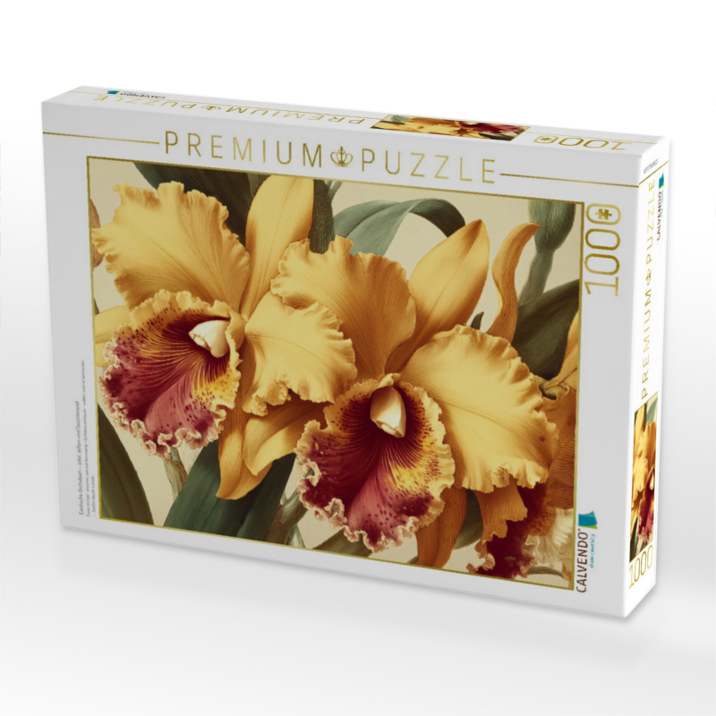 Exotische Orchideen – edel, selten und faszinierend