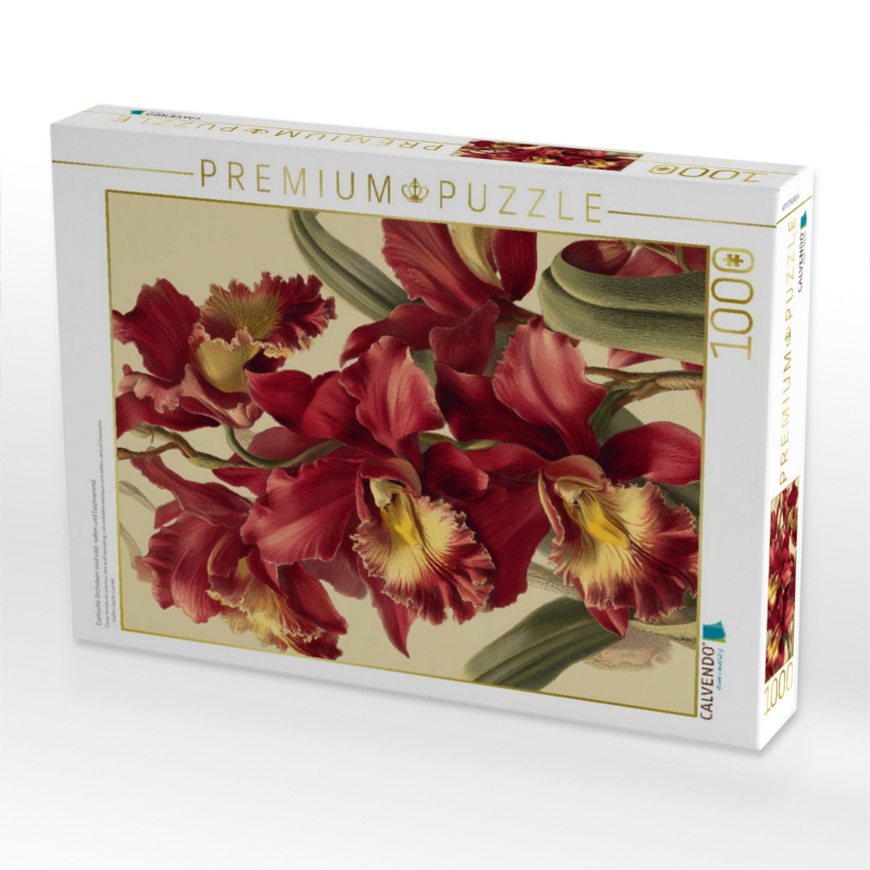 Exotische Orchideen sind edel, selten und faszinierend