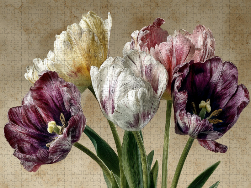 Ein Motiv aus dem Kalender Florale Meisterwerke