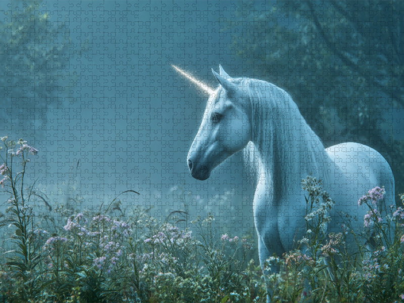 Ein Einhorn im Nebel der Zauberwiese