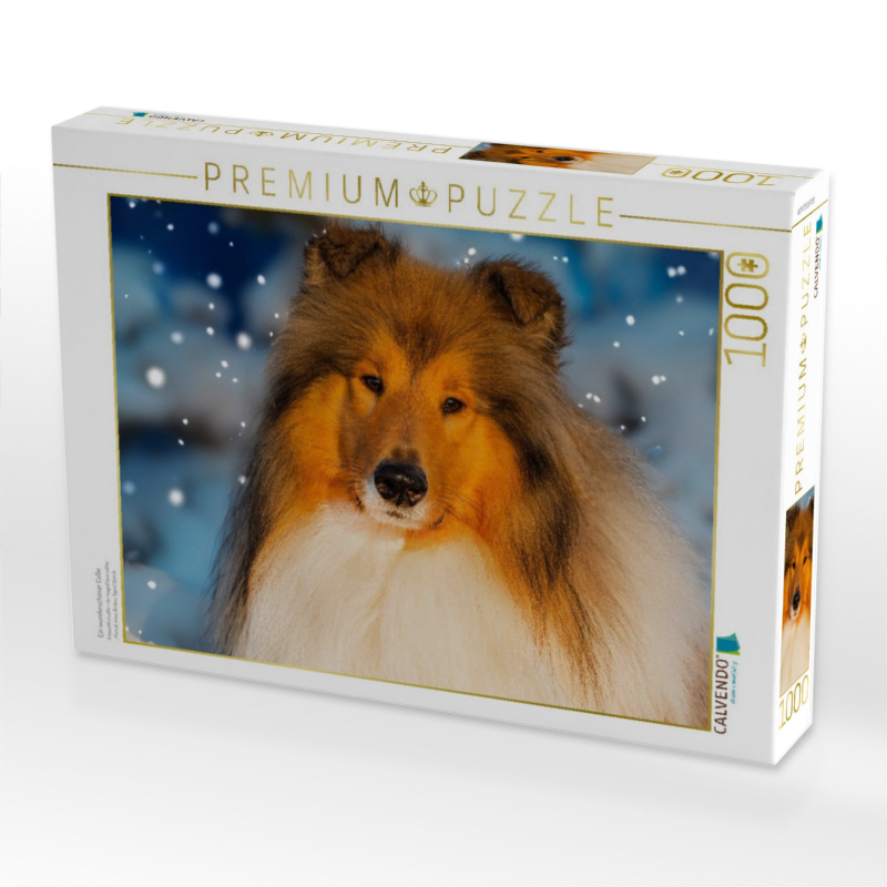 Ein wunderschöner Collie