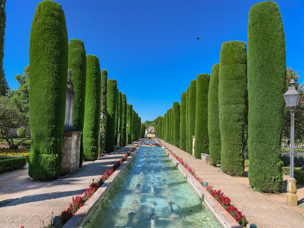 Cordoba