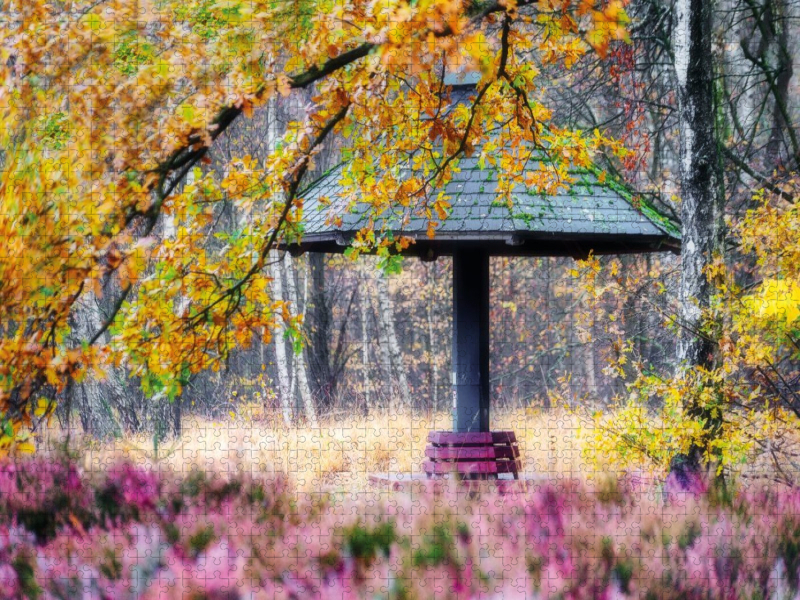Heide im Stadtpark