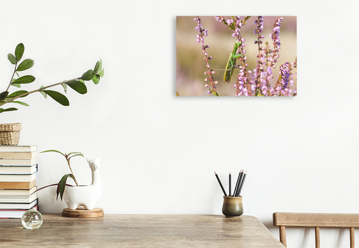 Ein Motiv aus dem Kalender Naturpark Niederlausitzer Heidelandschaft - Heideblüte