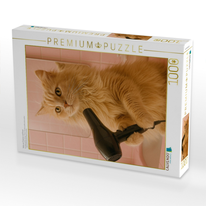 Katze am Frisieren und Fönen