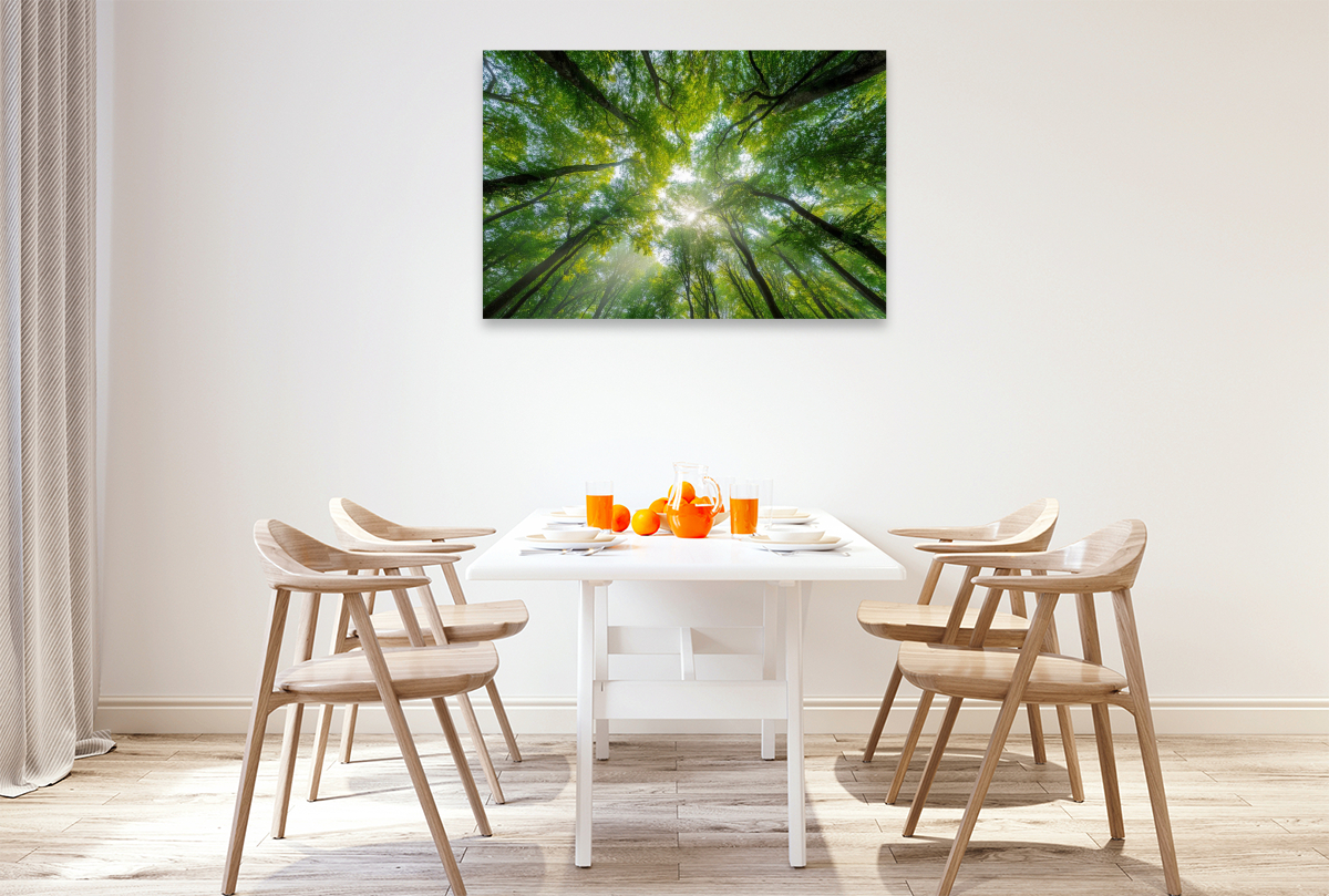 Sonnenstrahlen fallen durch das dichte Blätterdach eines sommerlichen Waldes und schaffen eine Atmosphäre der Ruhe und Entspannung.