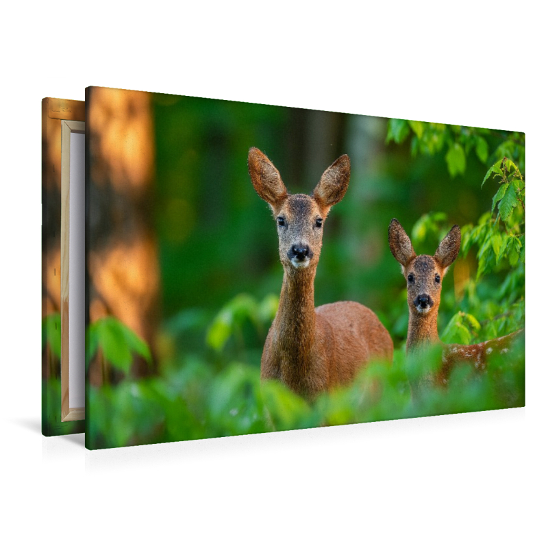 Eine Rehgeiß steht mit ihrem Kitz im grünen Frühlingswald und blickt aufmerksam durch das frische Laub.