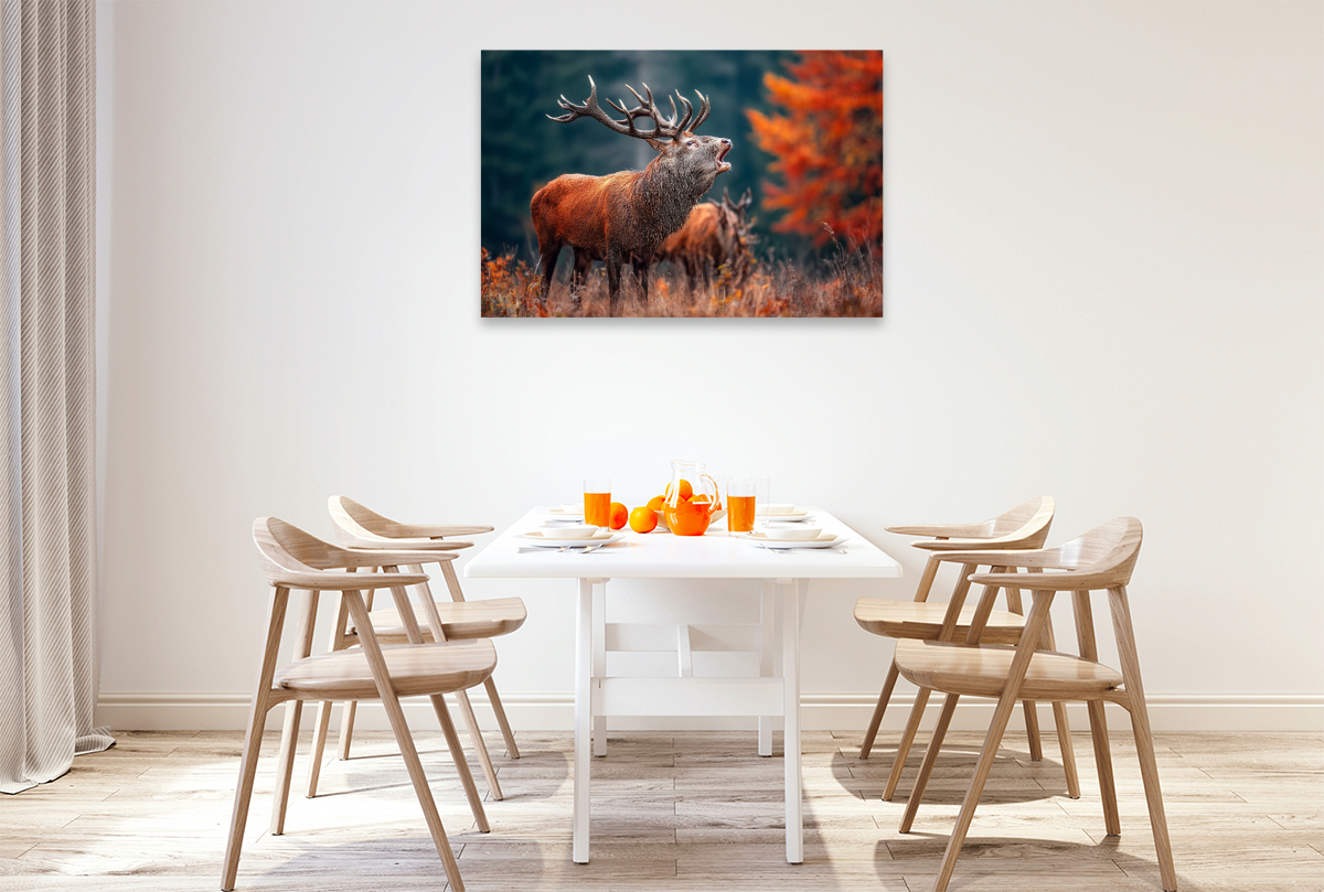 Ein mächtiger Hirsch ruft während der Brunft im herbstlichen Wald und zeigt seine ganze Stärke und Präsenz.