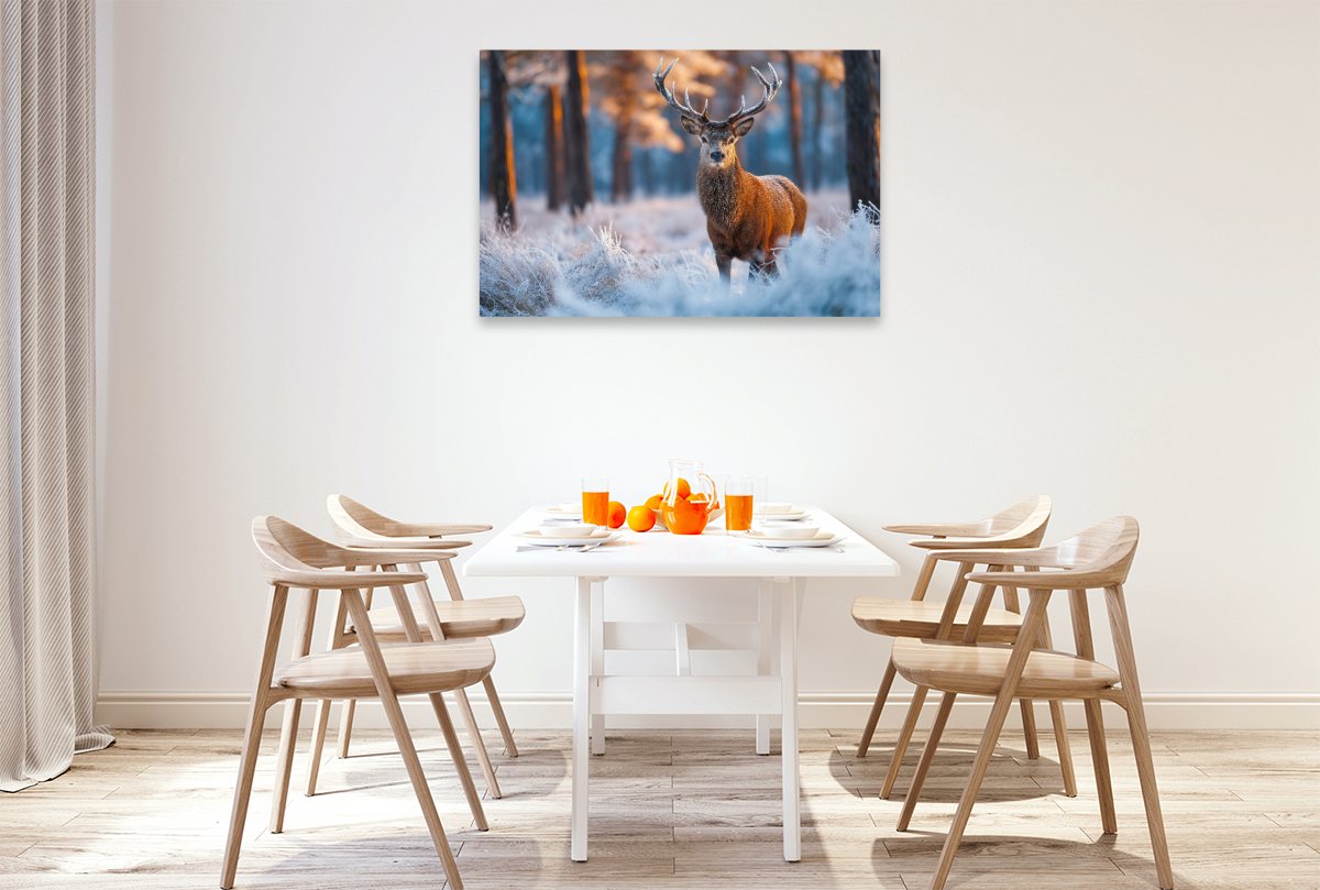 Ein stolzer Hirsch steht im verschneiten Winterwald und wird vom warmen Licht der aufgehenden Sonne erleuchtet.