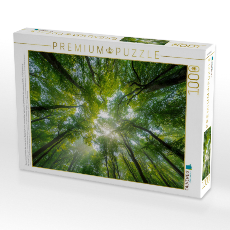 Sonnenstrahlen fallen durch das dichte Blätterdach eines sommerlichen Waldes und schaffen eine Atmosphäre der Ruhe und Entspannung.