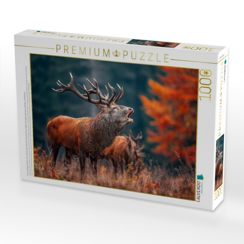 Ein mächtiger Hirsch ruft während der Brunft im herbstlichen Wald und zeigt seine ganze Stärke und Präsenz.