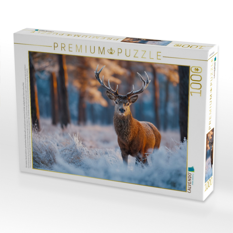 Ein stolzer Hirsch steht im verschneiten Winterwald und wird vom warmen Licht der aufgehenden Sonne erleuchtet.