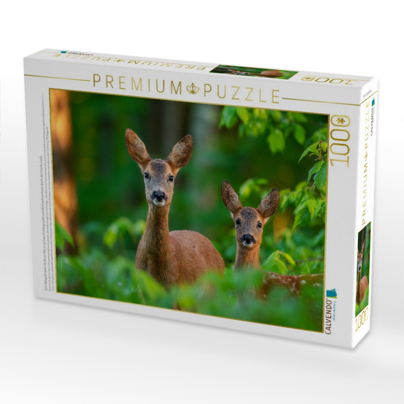 Eine Rehgeiß steht mit ihrem Kitz im grünen Frühlingswald und blickt aufmerksam durch das frische Laub.