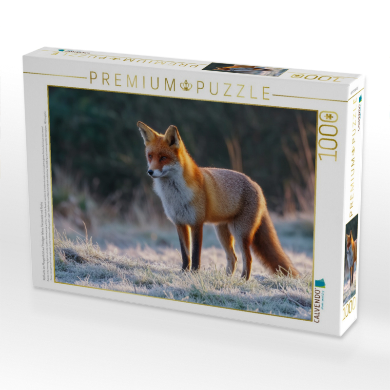 Rotfuchs im Morgenlicht auf frostiger Wiese Tierpuzzle mit Fuchs