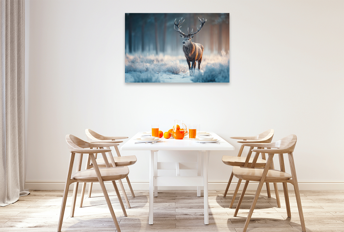 Hirsch im Winterwald - Rotwild im frostigen Morgenlicht