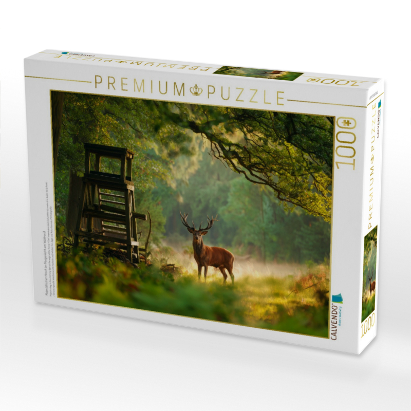 Majestätischer Hirsch im Morgenlicht am Waldrand