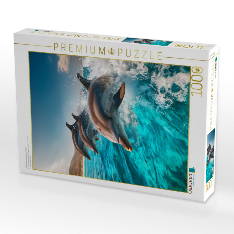 Delfine im türkisblauen Meer