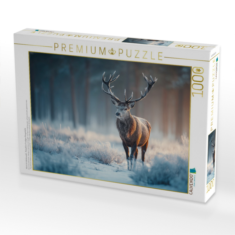 Hirsch im Winterwald - Rotwild im frostigen Morgenlicht