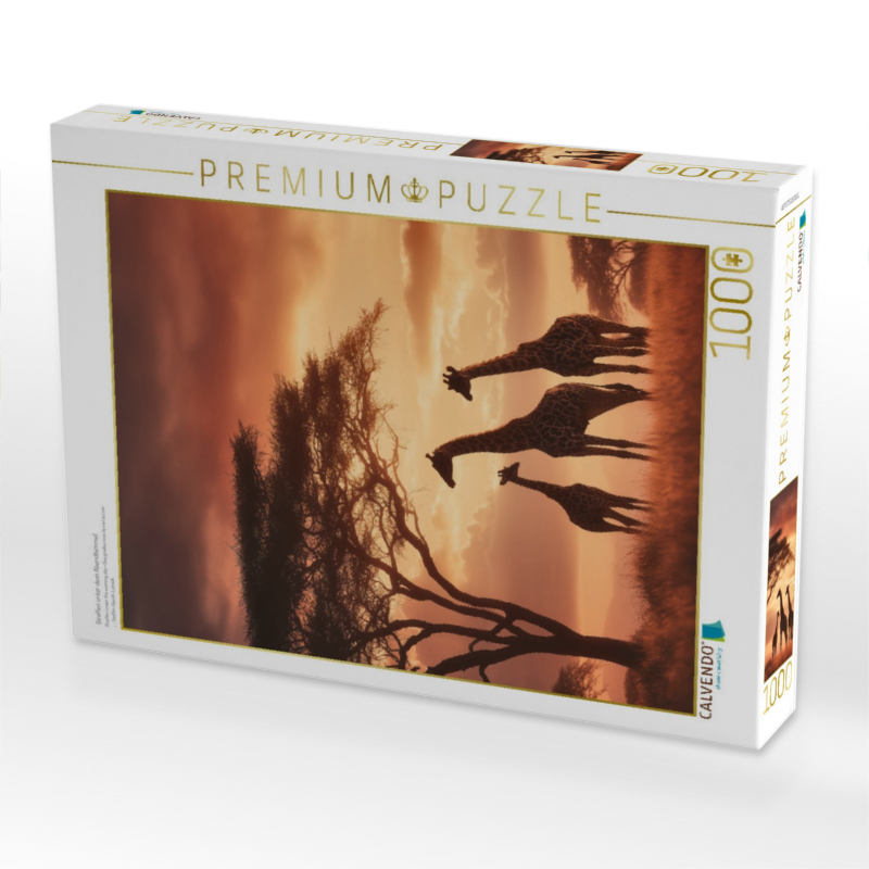 Giraffen unter dem Abendhimmel