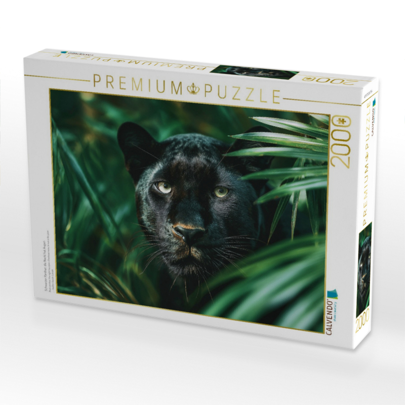 Schwarzer Panther, die Nacht hat Augen