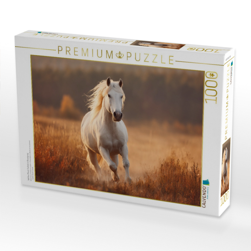 Weißes Pferd, Freiheit in Bewegung