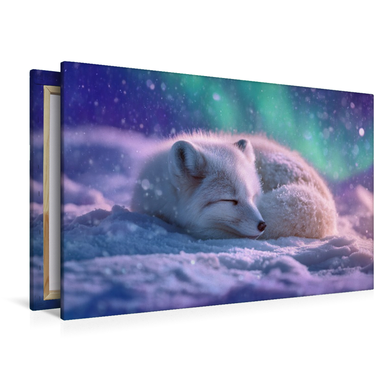 Polarfuchs, in der Stille der Nacht tanzt das Licht