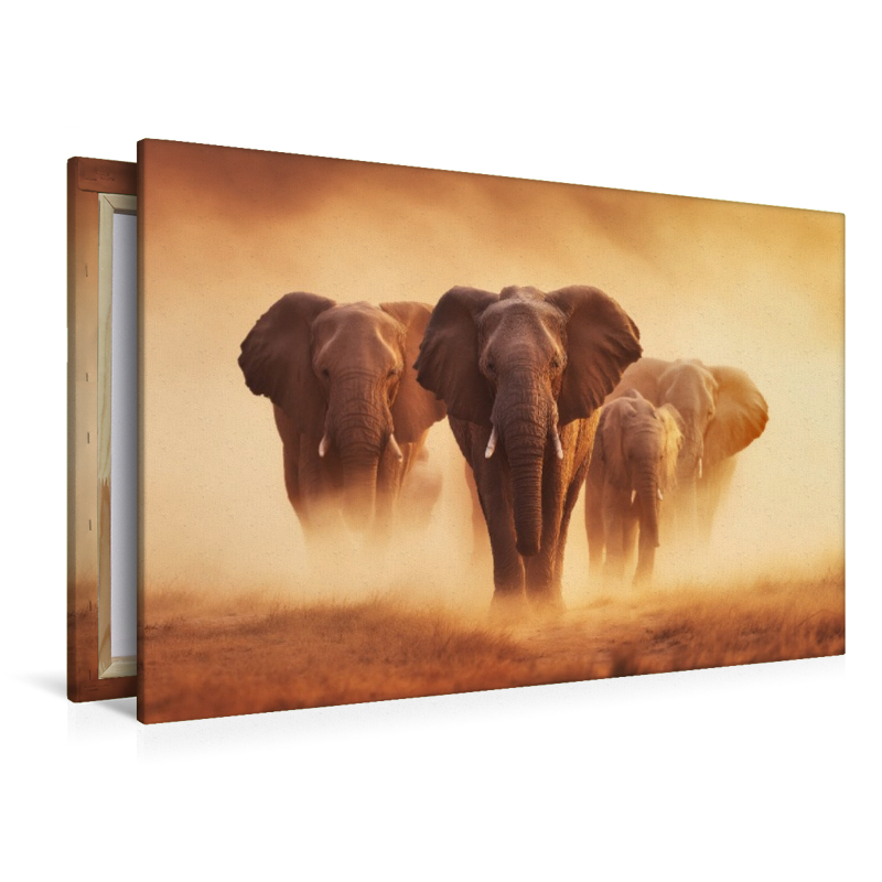 Elefanten, gemeinsam durch das endlose Gold der Sonne