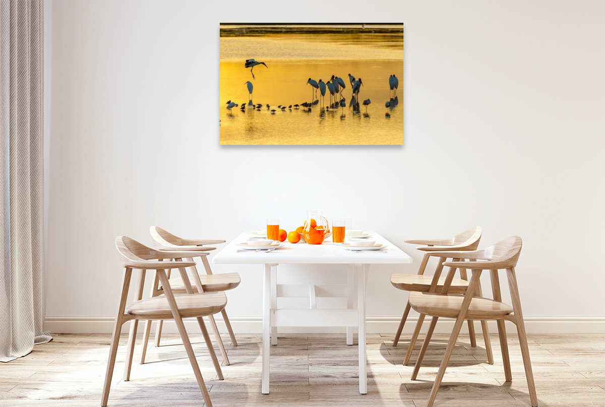 Ein Motiv aus dem Kalender Waldstorch und Anhinga