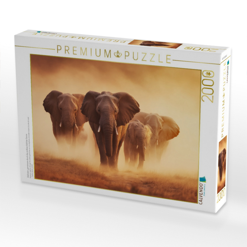 Elefanten, gemeinsam durch das endlose Gold der Sonne