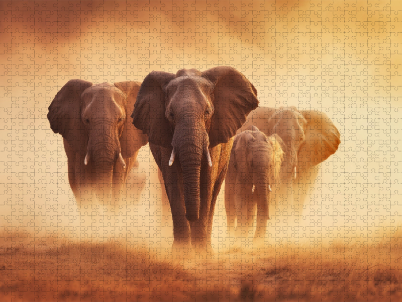 Elefanten, gemeinsam durch das endlose Gold der Sonne