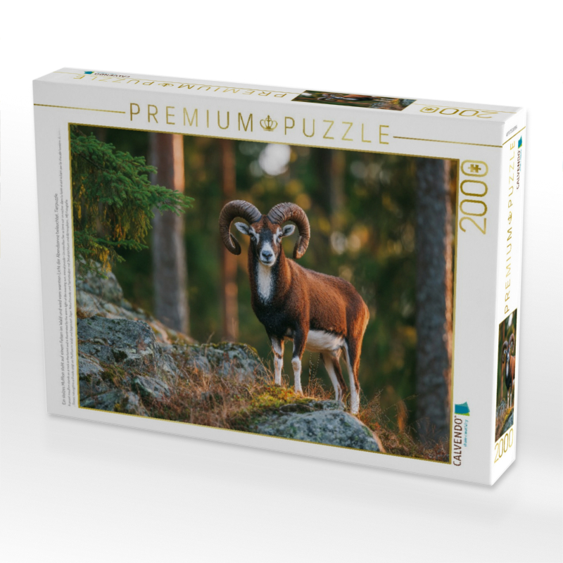 Ein stolzes Mufflon steht auf einem Felsen im Wald und wird vom warmen Licht der Abendsonne beleuchtet, Tierpuzzle