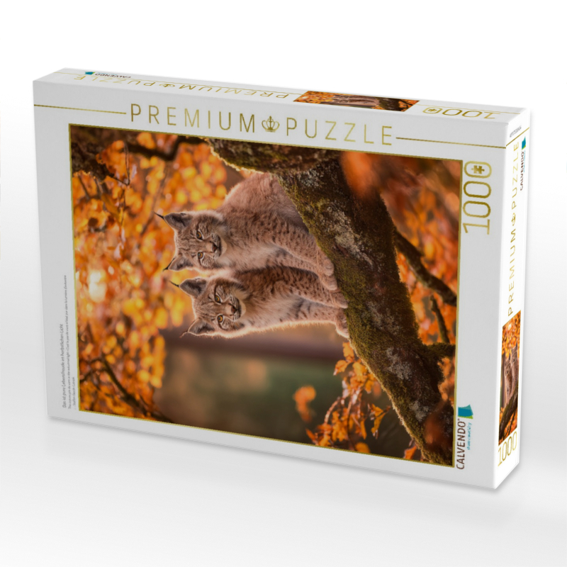 Das ist pure Lebensfreude im herbstlichen Licht