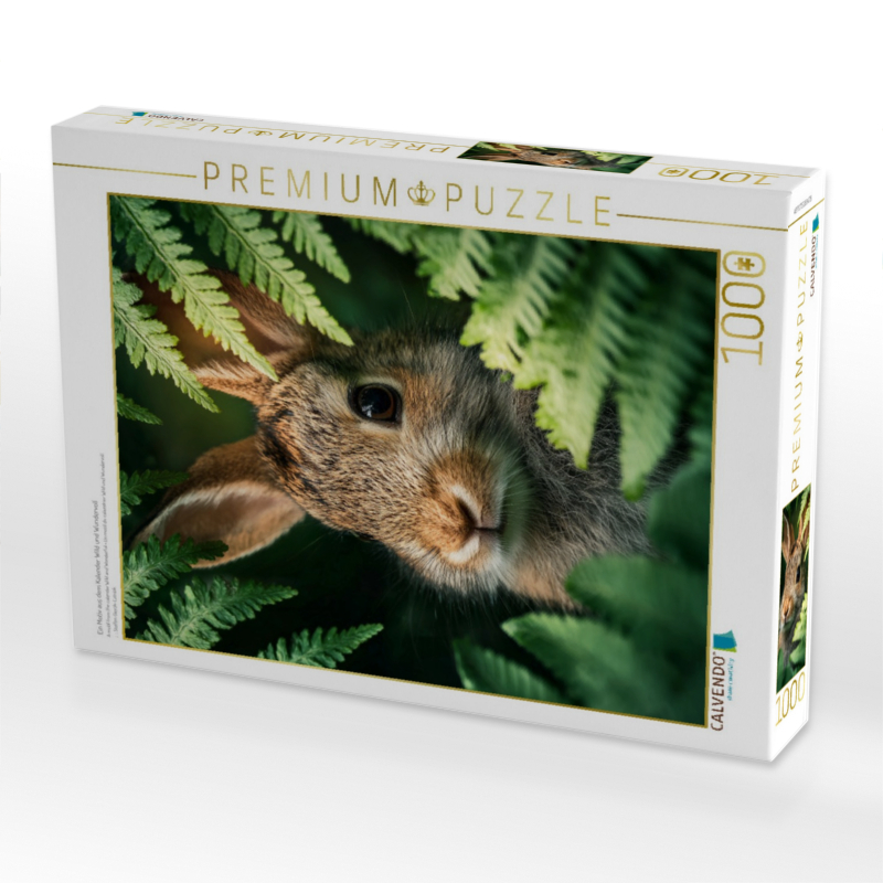 Ein Motiv aus dem Kalender Wild und Wundervoll