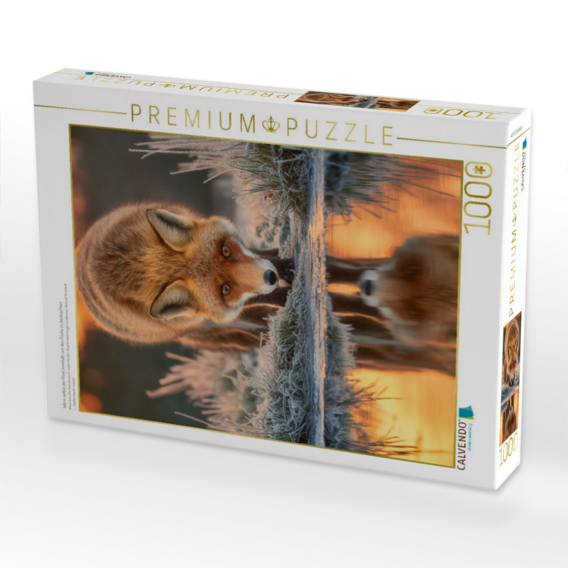 Wenn selbst der Frost innehält, um den Fuchs zu beobachten