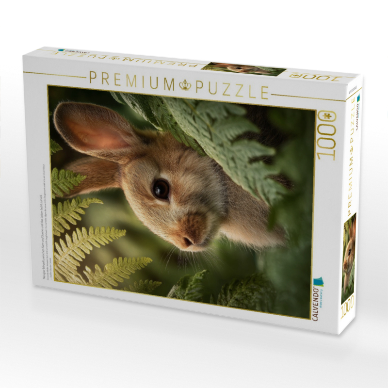 Neugier blinzelt zwischen Farn und Sonne und das Leben lacht zurück