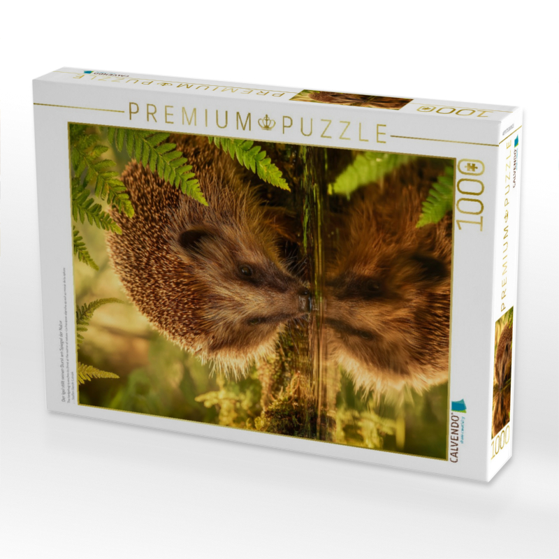 Der Igel stillt seinen Durst am Spiegel der Natur