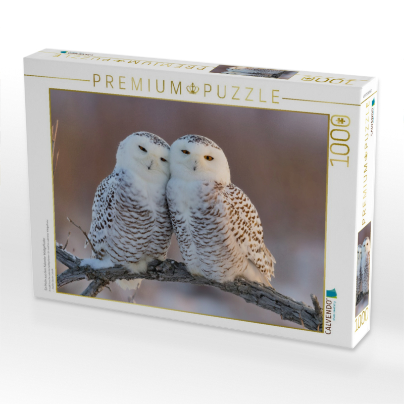 Ein Motiv aus dem Kalender Waldgeflüster