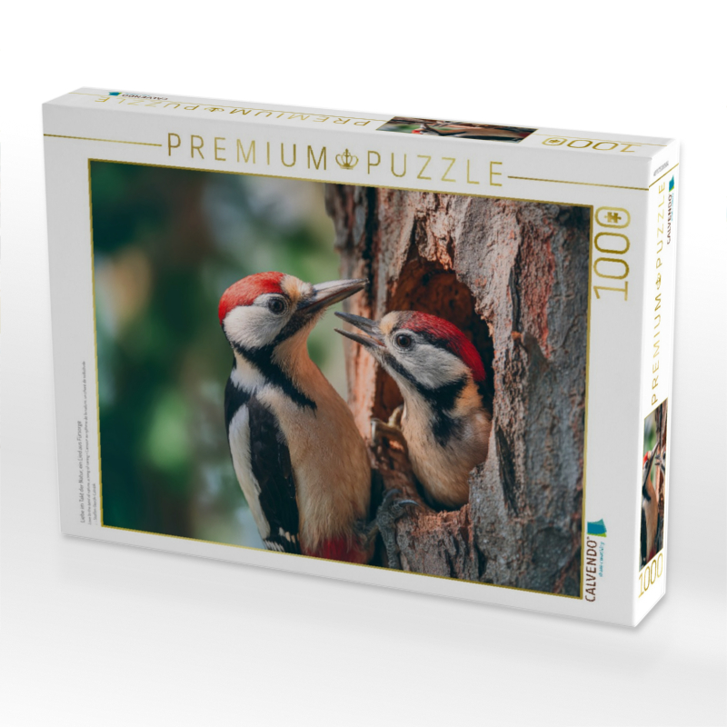 Liebe im Takt der Natur, ein Lied aus Fürsorge