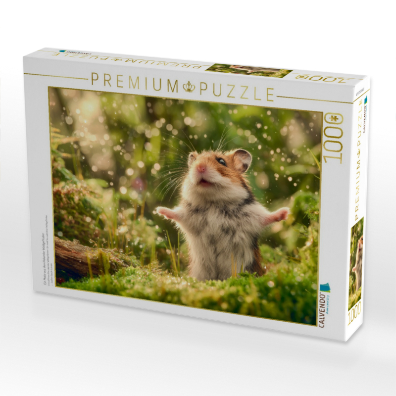 Ein Motiv aus dem Kalender Waldgeflüster