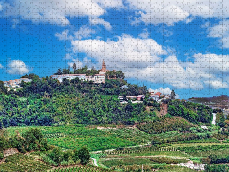 Weinanbau im Piemont in der Region Roero