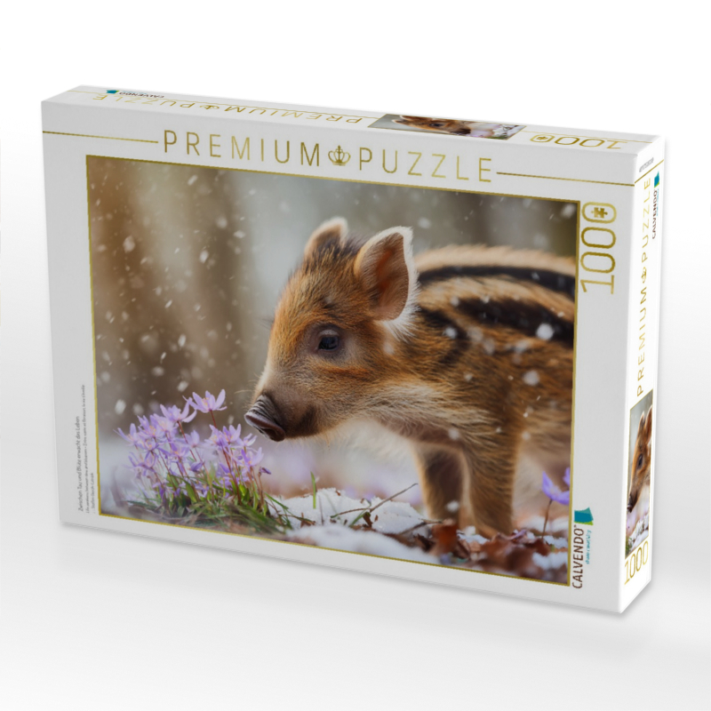 Zwischen Tau und Blüte erwacht das Leben